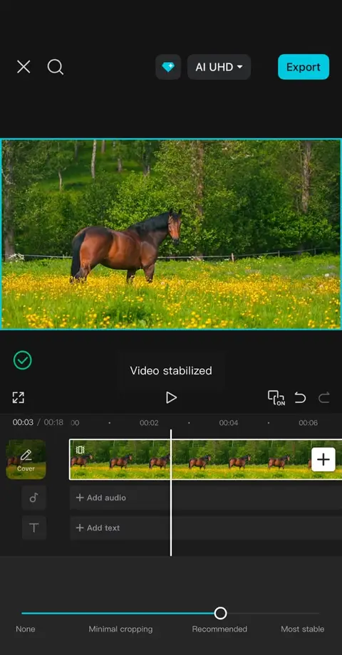 CapCut video stabilization interface